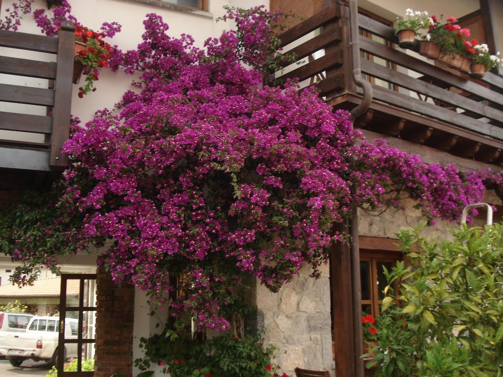 Moran Playa Ξενοδοχείο Celorio  Εξωτερικό φωτογραφία